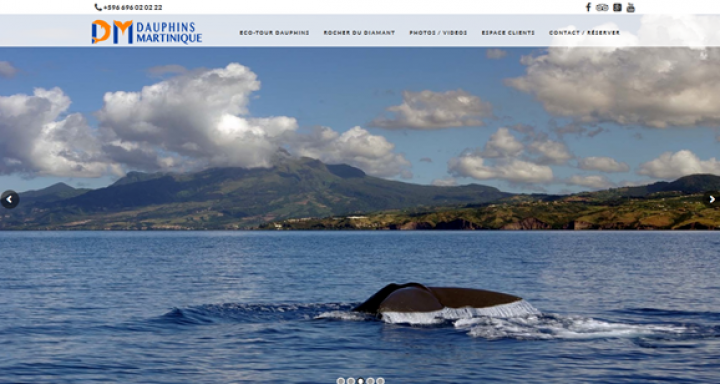 Dauphin Martinique