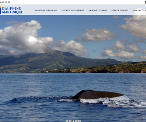 Dauphin Martinique